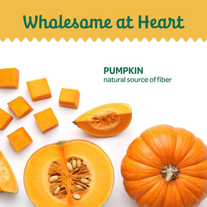 Pumpkin Slices Healthy Dog Treats, 1 Ingredient, 5 oz
