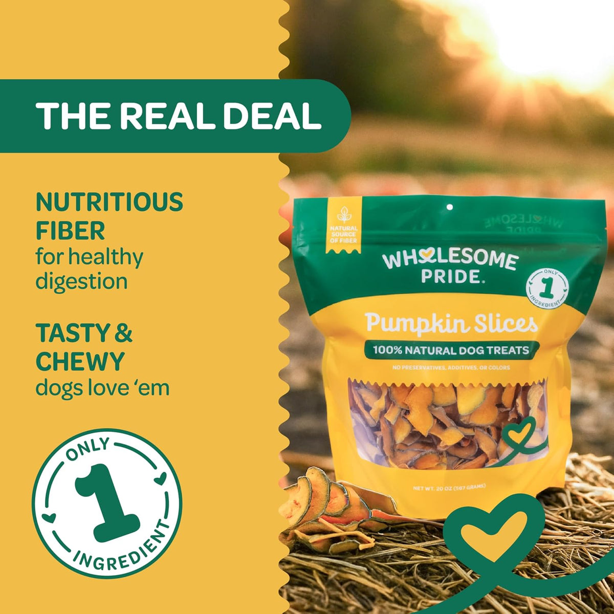 Pumpkin Slices Healthy Dog Treats, 1 Ingredient, 5 oz