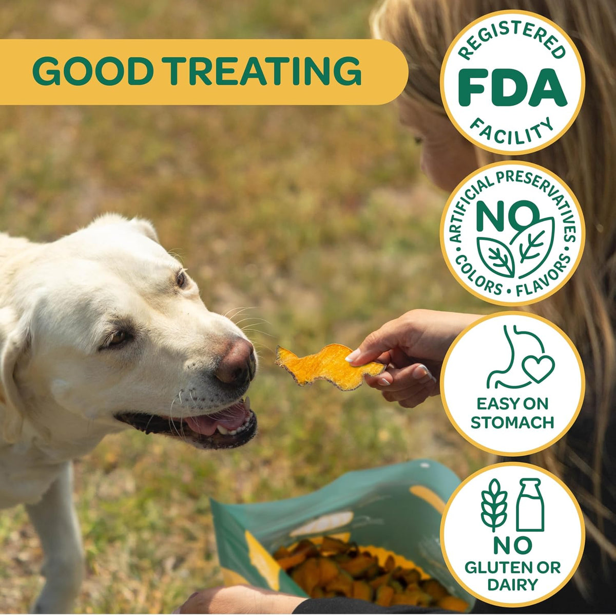 Pumpkin Slices Healthy Dog Treats, 1 Ingredient, 5 oz