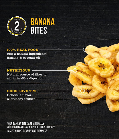 Pumpkin Slices Healthy Dog Treats, 1 Ingredient, 5 oz