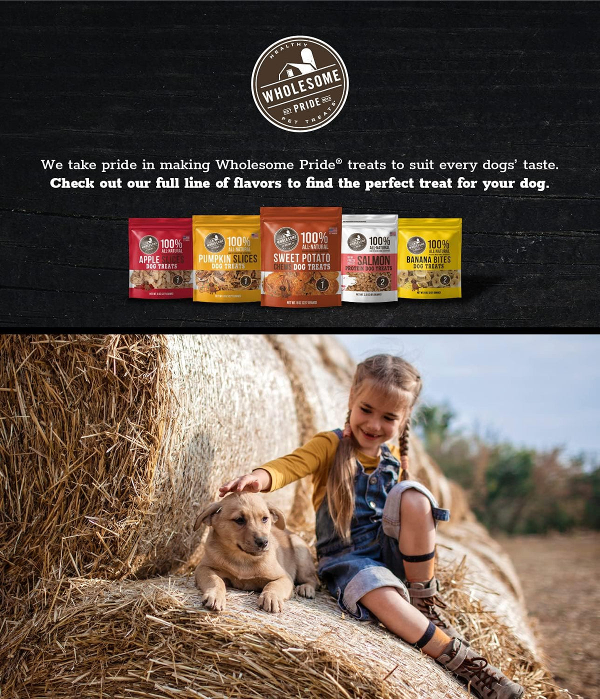 Pumpkin Slices Healthy Dog Treats, 1 Ingredient, 5 oz