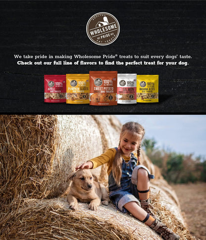 Pumpkin Slices Healthy Dog Treats, 1 Ingredient, 5 oz