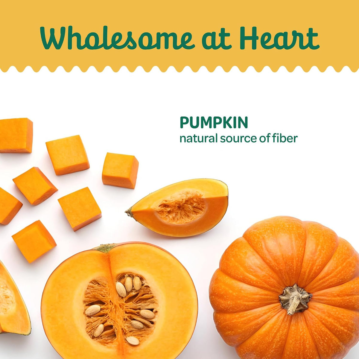 Pumpkin Slices Healthy Dog Treats, 1 Ingredient, 5 oz