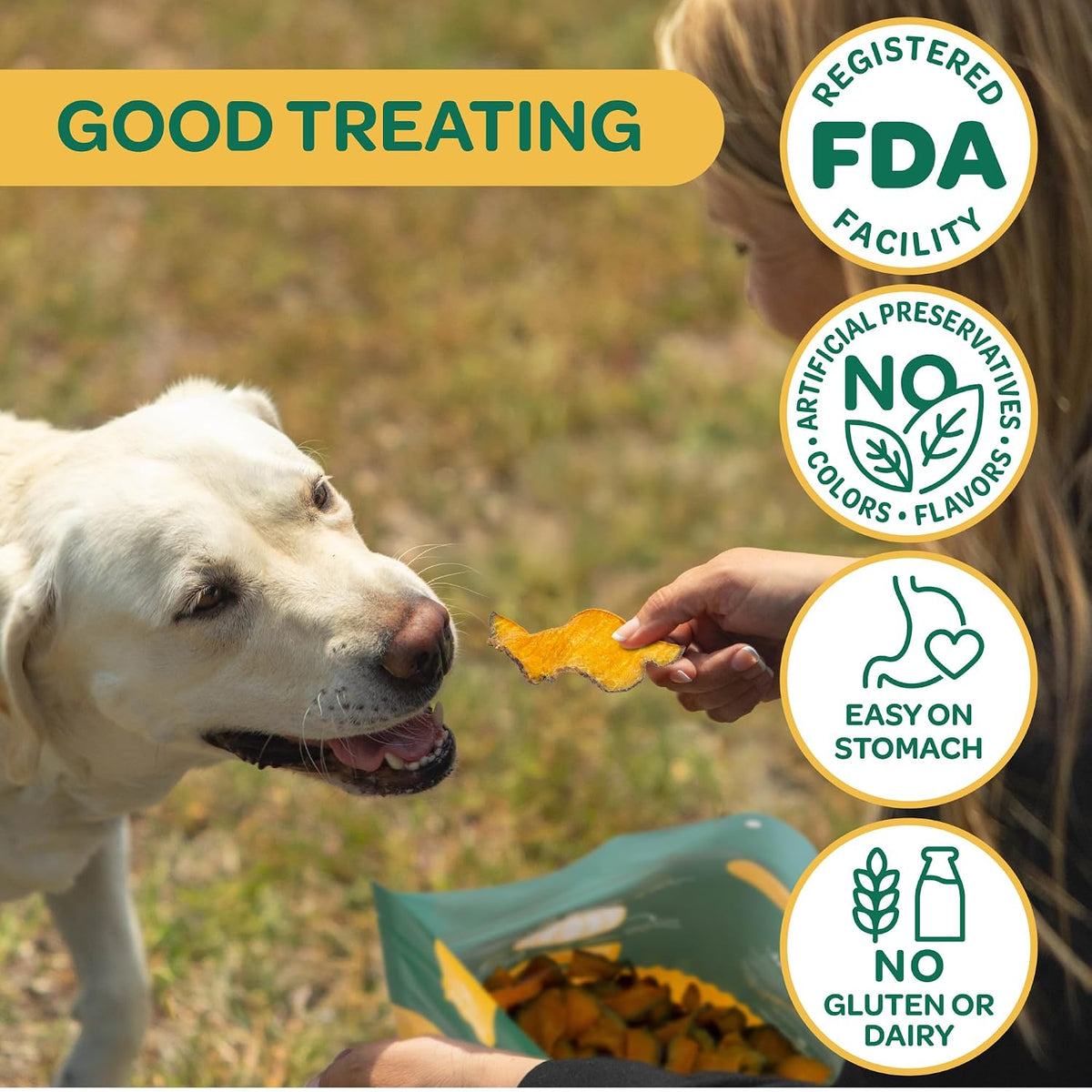 Pumpkin Slices Healthy Dog Treats, 1 Ingredient, 5 oz