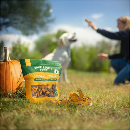 Pumpkin Slices Healthy Dog Treats, 1 Ingredient, 5 oz