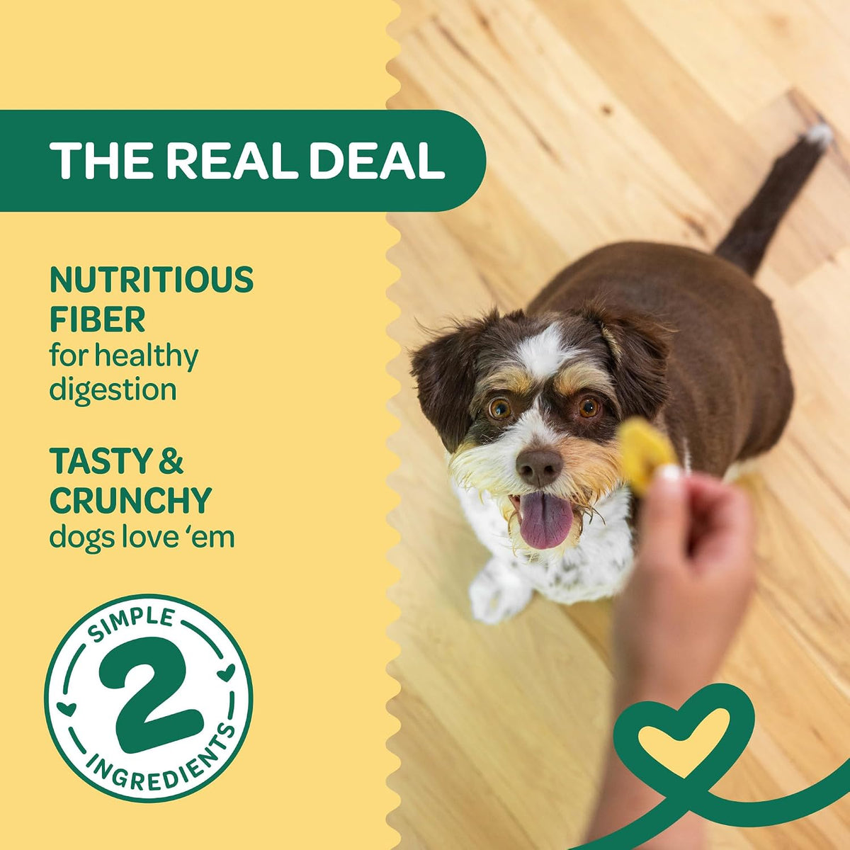 Pumpkin Slices Healthy Dog Treats, 1 Ingredient, 5 oz