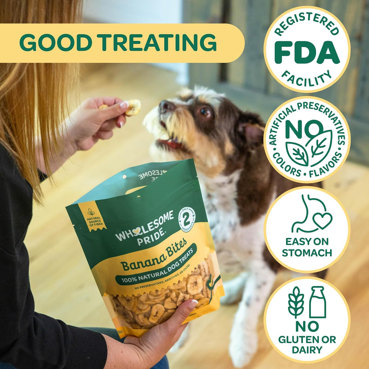 Pumpkin Slices Healthy Dog Treats, 1 Ingredient, 5 oz