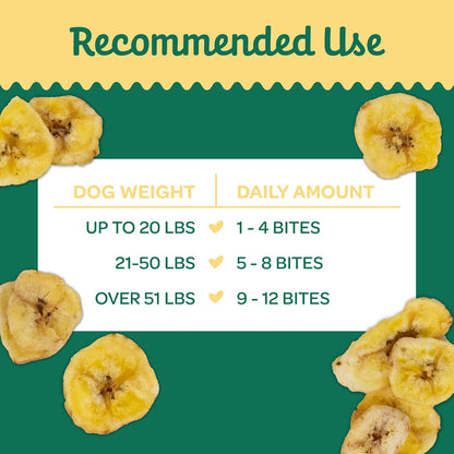 Pumpkin Slices Healthy Dog Treats, 1 Ingredient, 5 oz