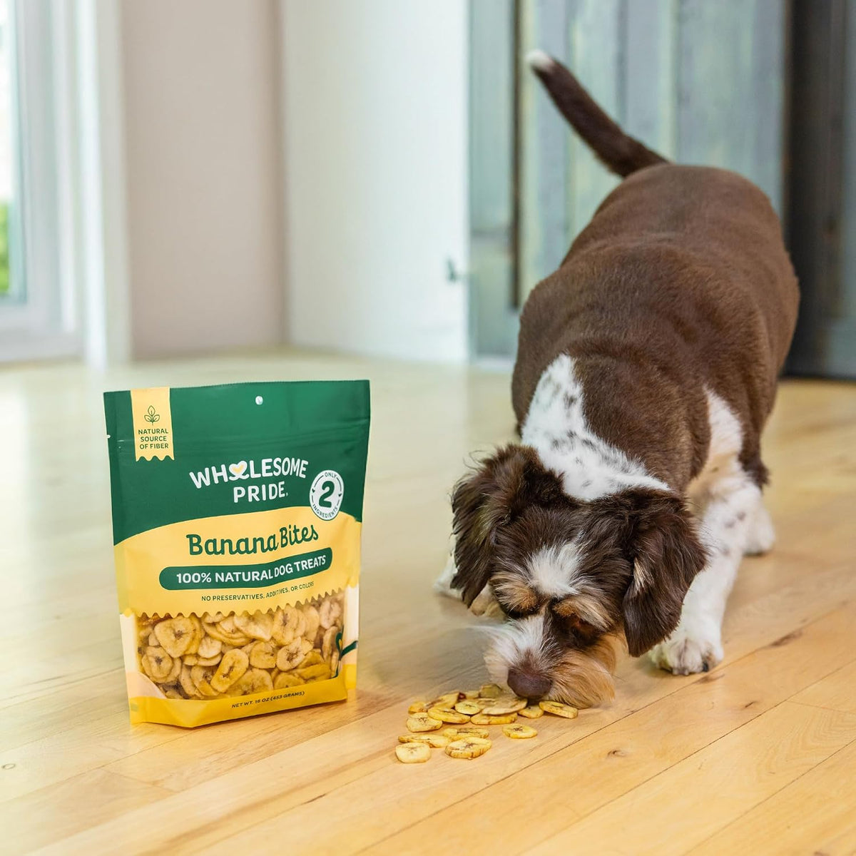 Pumpkin Slices Healthy Dog Treats, 1 Ingredient, 5 oz