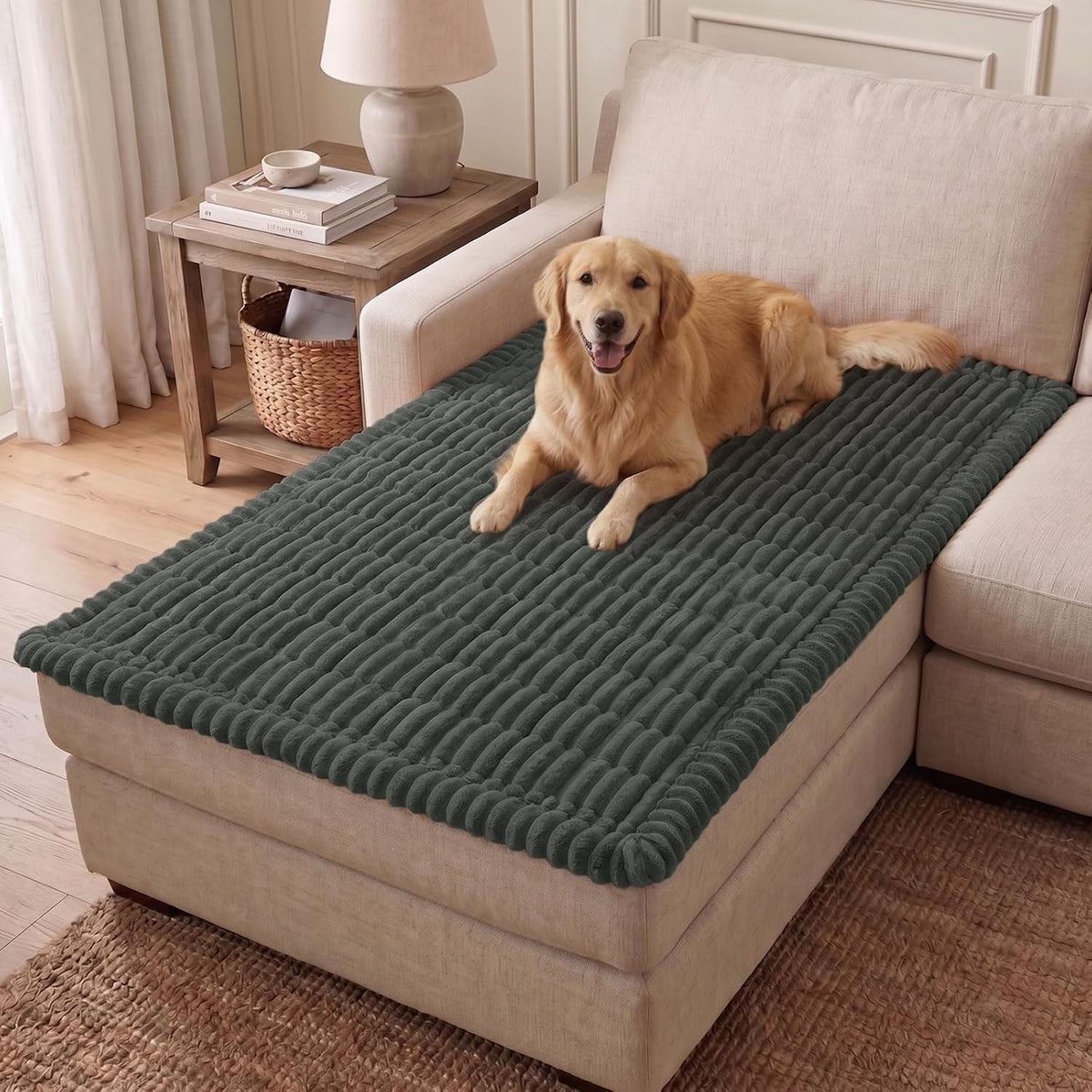 Couch Cover for Dogs, Washable Non Slip Plush Flannel Sofa Protector | Thick Flannel, Anti-Slip Backing, Pet Hair & Scratch Protection, Fits Sofa & Loveseat (27.6" x 59") - Colors A