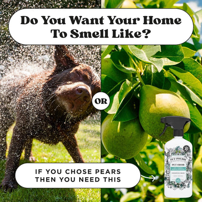 Pet- Air+Fabric Pet Odor Deodorizer Spray, Pawsitively Fresh 16 Fl Oz