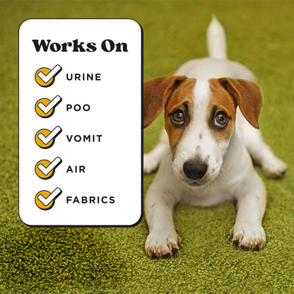 Pet- Air+Fabric Pet Odor Deodorizer Spray, Pawsitively Fresh 16 Fl Oz