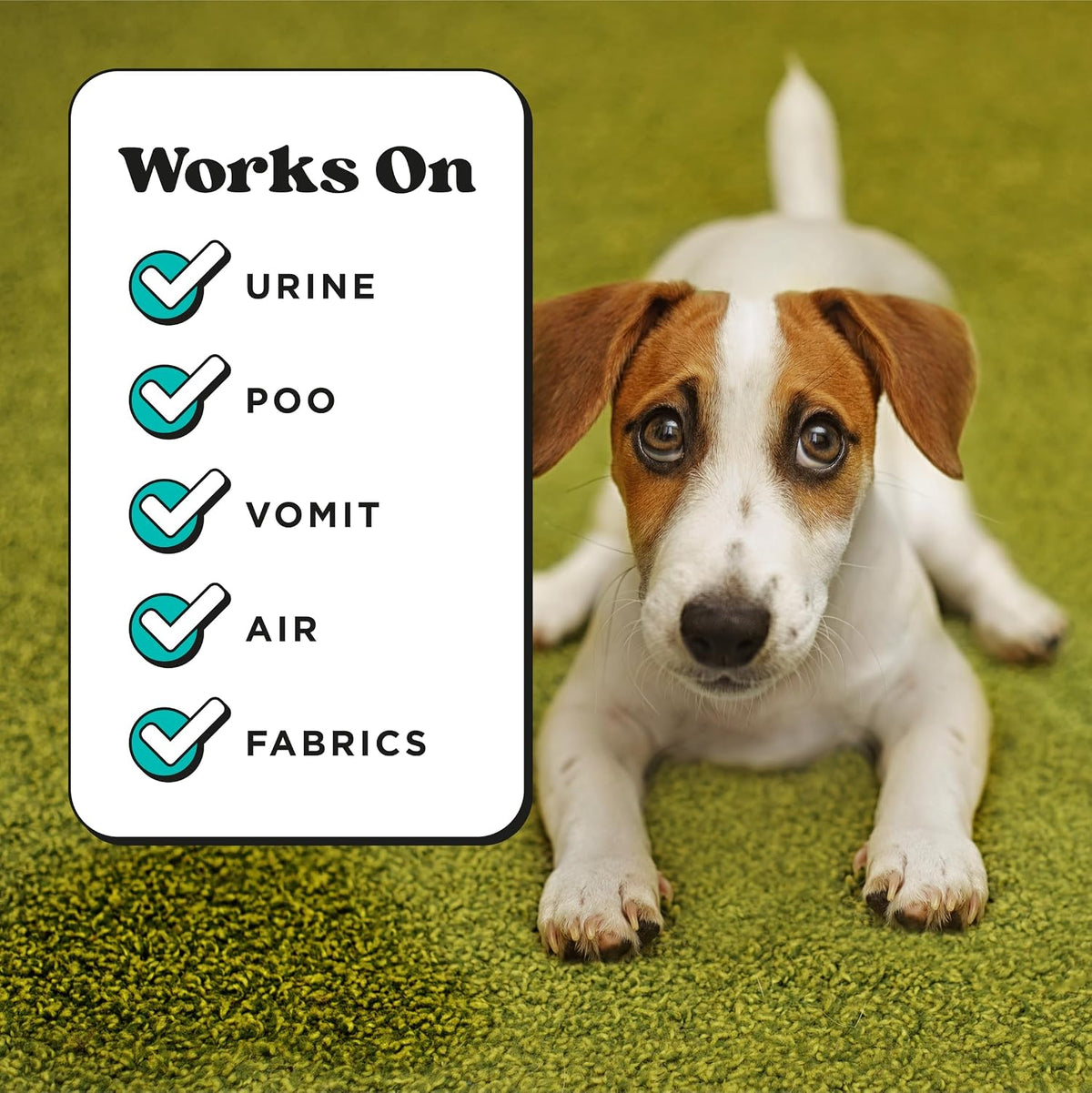 Pet- Air+Fabric Pet Odor Deodorizer Spray, Pawsitively Fresh 16 Fl Oz