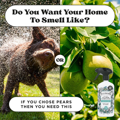 Pet- Air+Fabric Pet Odor Deodorizer Spray, Pawsitively Fresh 16 Fl Oz