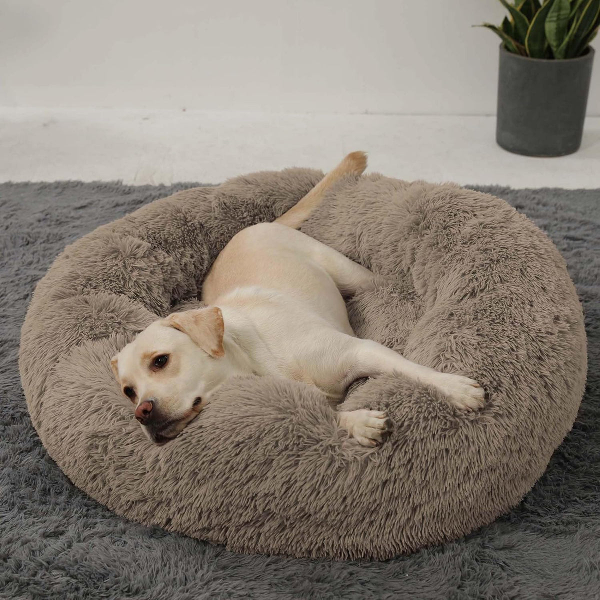 Calming Donut Cuddler Dog Bed, Round Fluffy Pet Bed with Sewn-in Cushion for Large Dogs,Washable, Large, Taupe, 30''