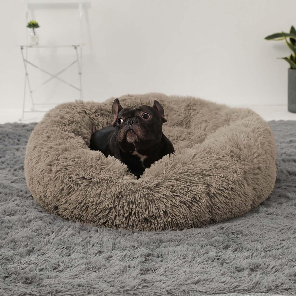 Calming Donut Cuddler Dog Bed, Round Fluffy Pet Bed with Sewn-in Cushion for Large Dogs,Washable, Large, Taupe, 30''