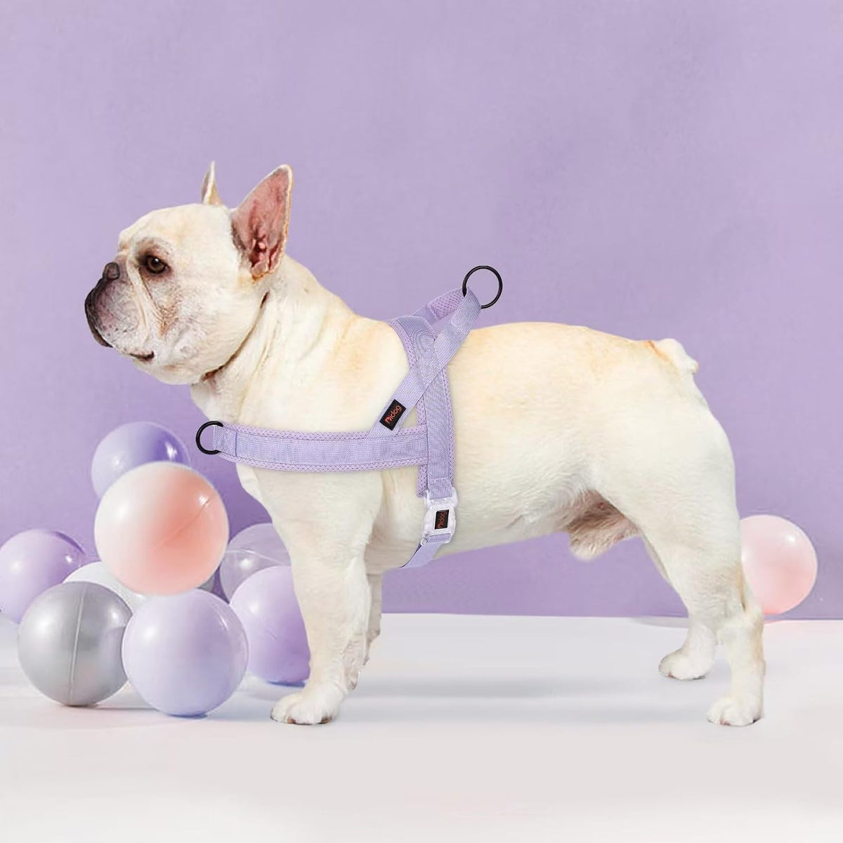 No Pull Dog Harness with Breathable Mesh Padded, Quick Fit and Easy on Dog Vest Harness for Small Medium Large Dogs Training Walking(Purple,M)