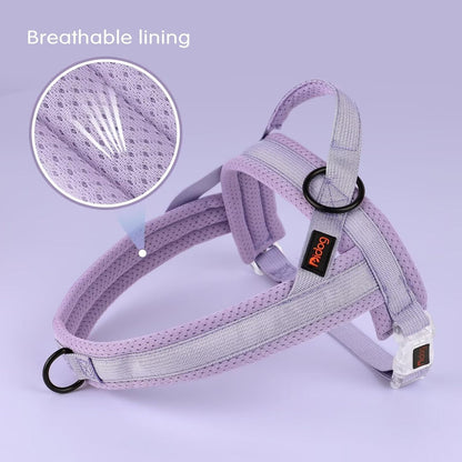 No Pull Dog Harness with Breathable Mesh Padded, Quick Fit and Easy on Dog Vest Harness for Small Medium Large Dogs Training Walking(Purple,M)
