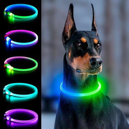 Light Up Dog Collar, USB Rechargeable, LED, Green+Blue