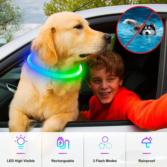 Light Up Dog Collar, USB Rechargeable, LED, Green+Blue