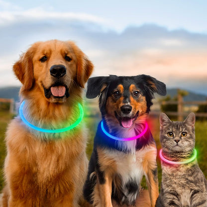 Light Up Dog Collar, USB Rechargeable, LED, Green+Blue
