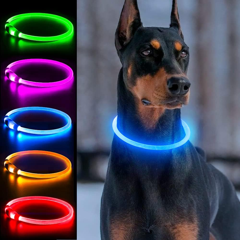 Light Up Dog Collar, USB Rechargeable, LED, Green+Blue
