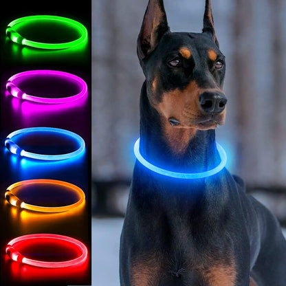 Light Up Dog Collar, USB Rechargeable, LED, Green+Blue