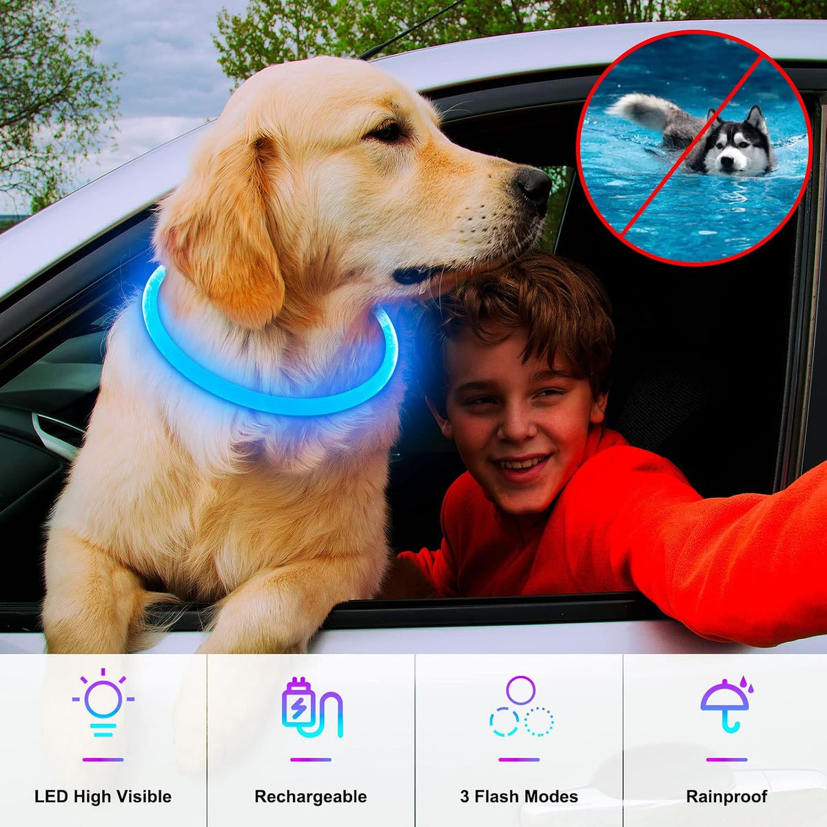 Light Up Dog Collar, USB Rechargeable, LED, Green+Blue