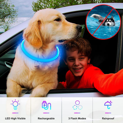 Light Up Dog Collar, USB Rechargeable, LED, Green+Blue