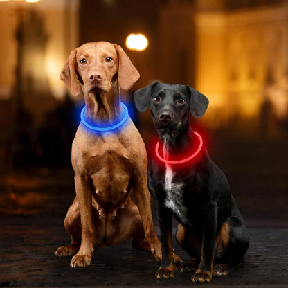 Light Up Dog Collar, USB Rechargeable, LED, Green+Blue