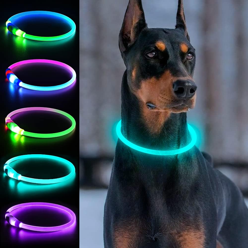 Light Up Dog Collar, USB Rechargeable, LED, Green+Blue