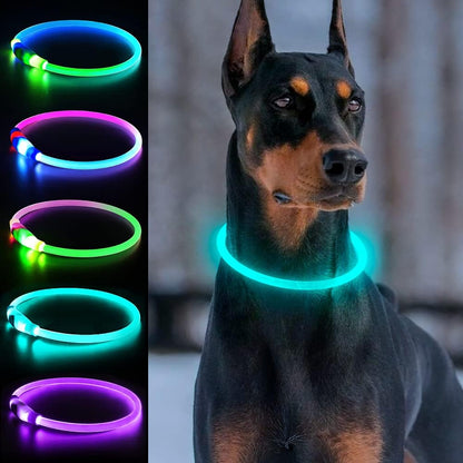 Light Up Dog Collar, USB Rechargeable, LED, Green+Blue