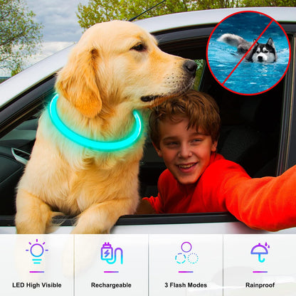 Light Up Dog Collar, USB Rechargeable, LED, Green+Blue