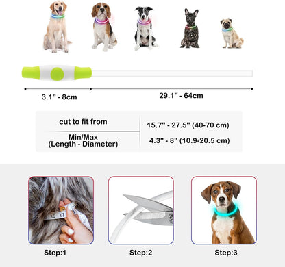 Light Up Dog Collar, USB Rechargeable, LED, Green+Blue