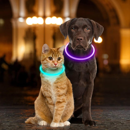 Light Up Dog Collar, USB Rechargeable, LED, Green+Blue