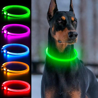 Light Up Dog Collar, USB Rechargeable, LED, Green+Blue