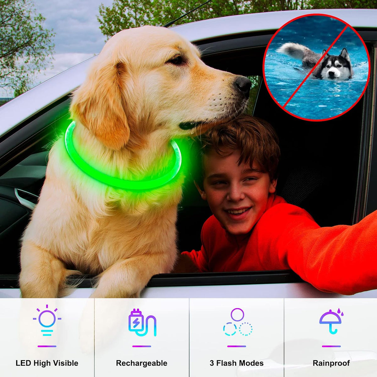 Light Up Dog Collar, USB Rechargeable, LED, Green+Blue