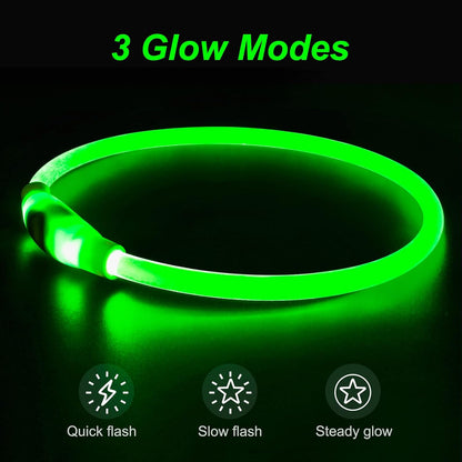 Light Up Dog Collar, USB Rechargeable, LED, Green+Blue