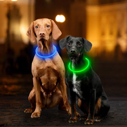 Light Up Dog Collar, USB Rechargeable, LED, Green+Blue