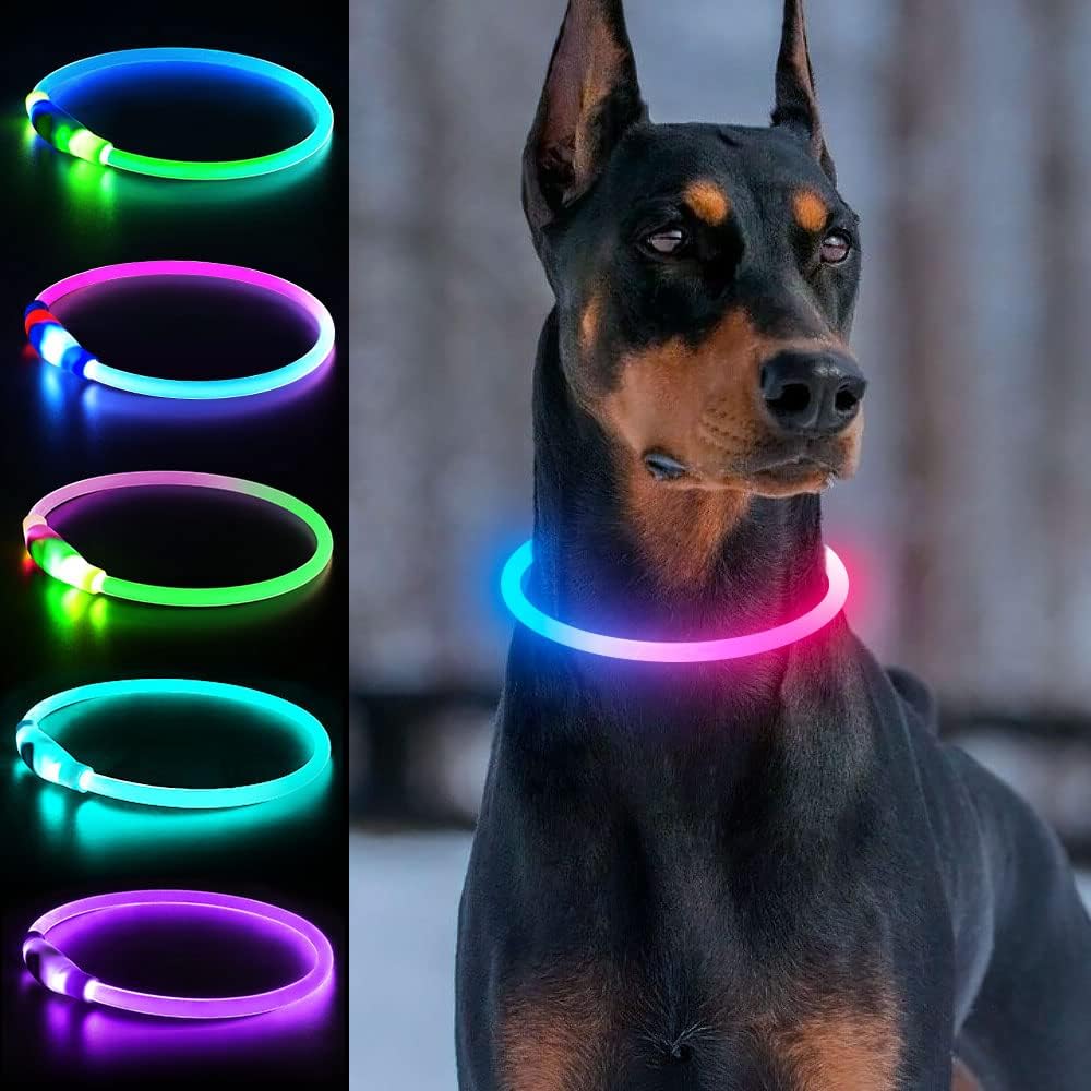 Light Up Dog Collar, USB Rechargeable, LED, Green+Blue