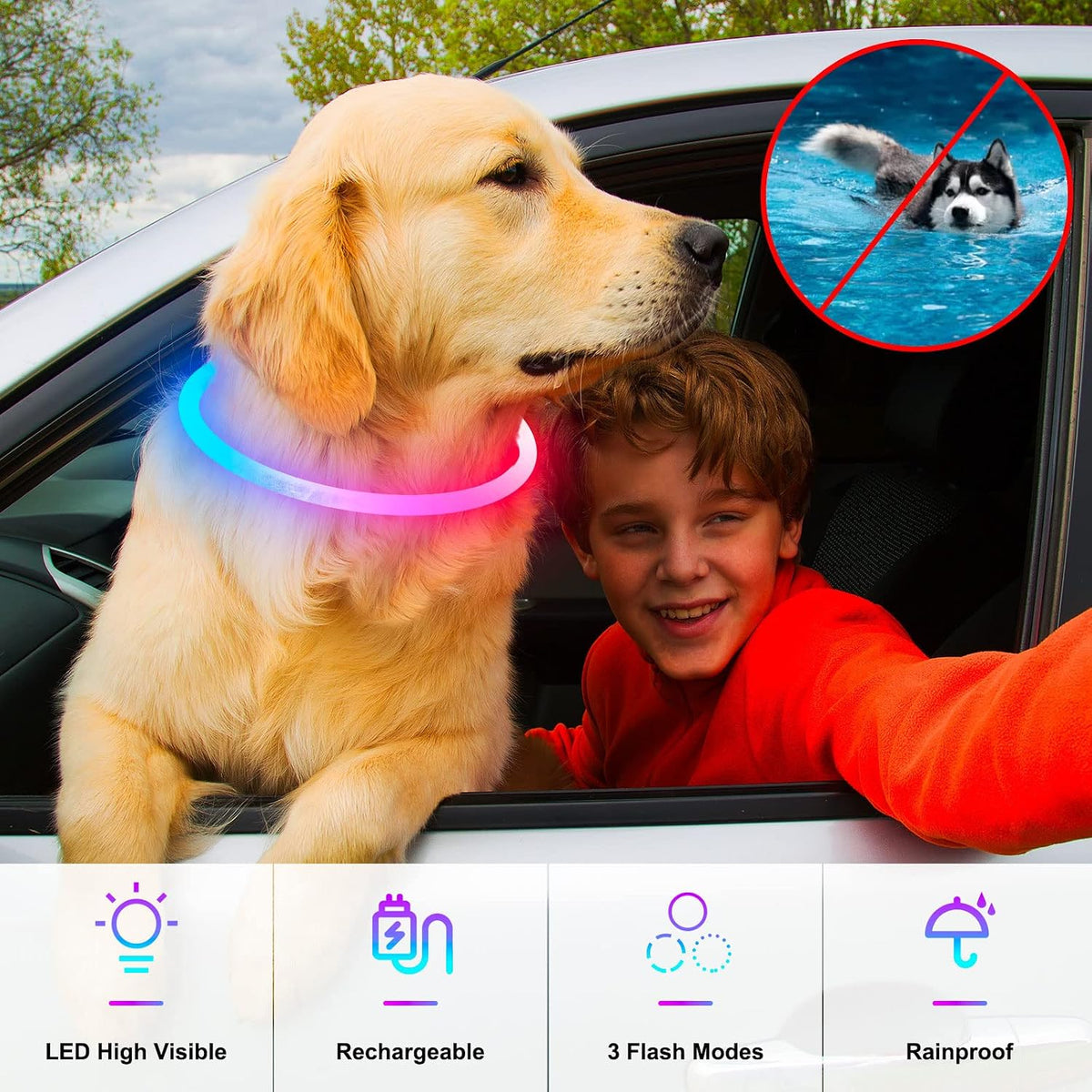 Light Up Dog Collar, USB Rechargeable, LED, Green+Blue