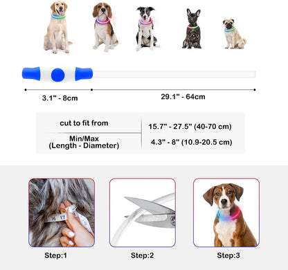 Light Up Dog Collar, USB Rechargeable, LED, Green+Blue