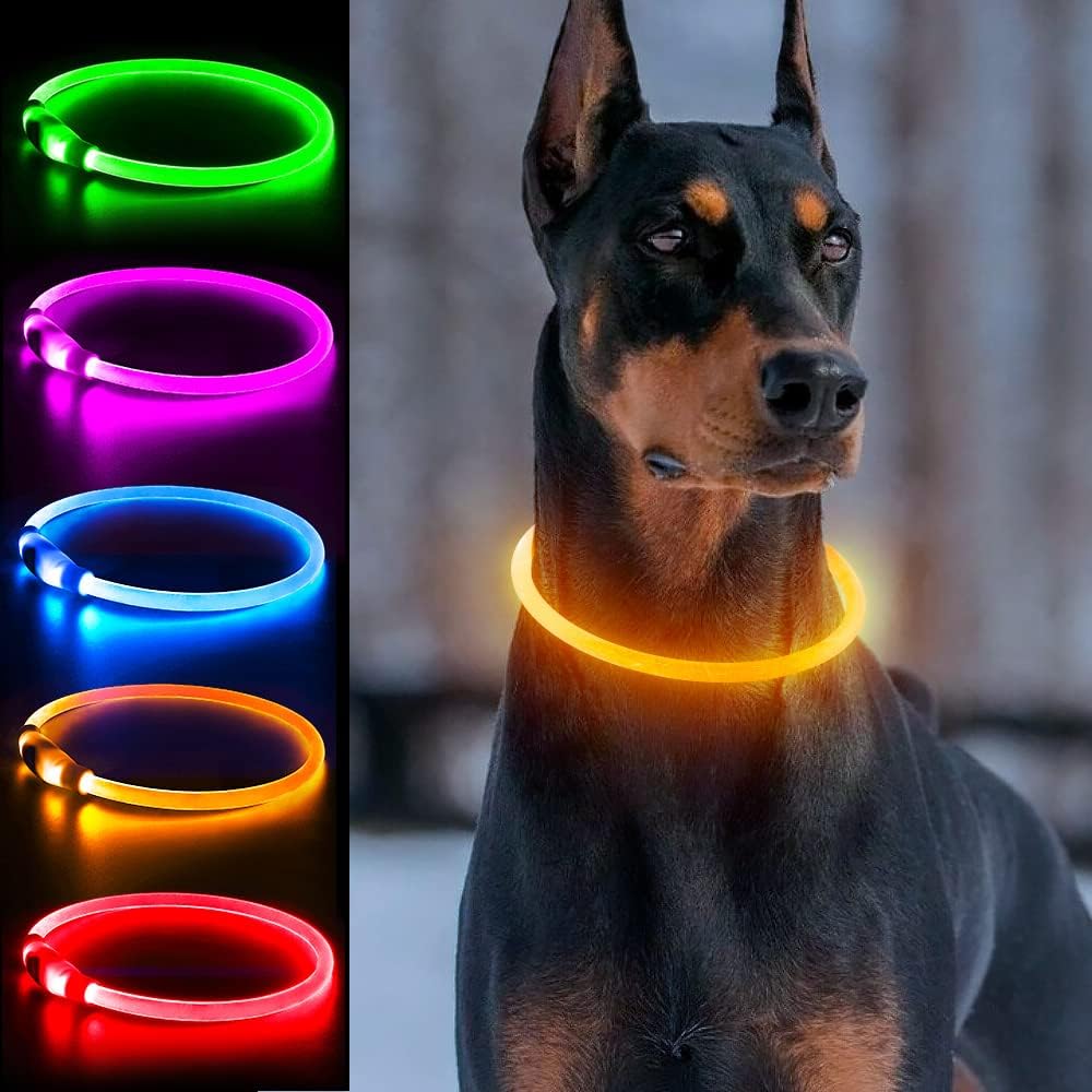 Light Up Dog Collar, USB Rechargeable, LED, Green+Blue