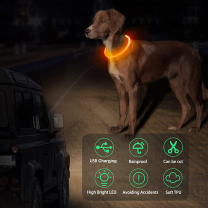 Light Up Dog Collar, USB Rechargeable, LED, Green+Blue