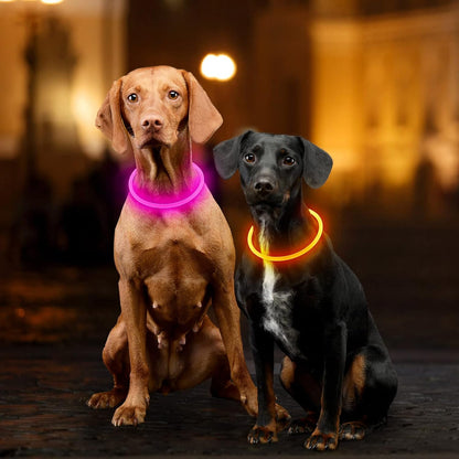 Light Up Dog Collar, USB Rechargeable, LED, Green+Blue