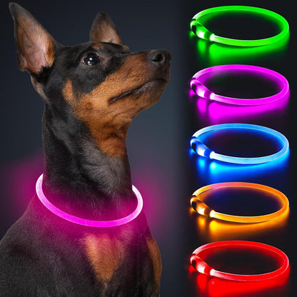 Light Up Dog Collar, USB Rechargeable, LED, Green+Blue