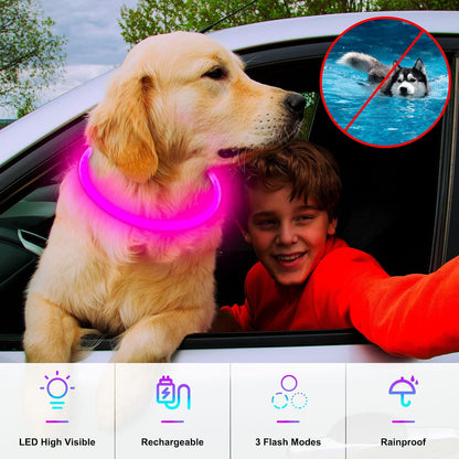 Light Up Dog Collar, USB Rechargeable, LED, Green+Blue