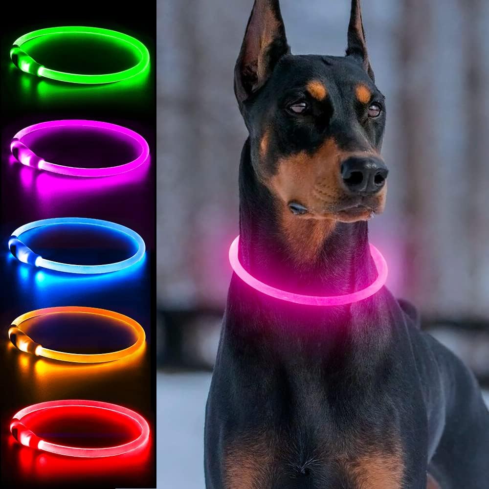 Light Up Dog Collar, USB Rechargeable, LED, Green+Blue