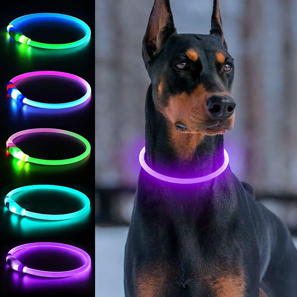 Light Up Dog Collar, USB Rechargeable, LED, Green+Blue