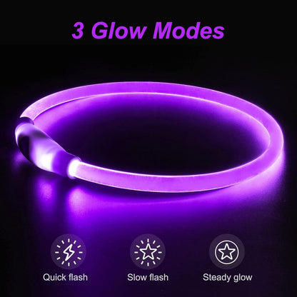 Light Up Dog Collar, USB Rechargeable, LED, Green+Blue